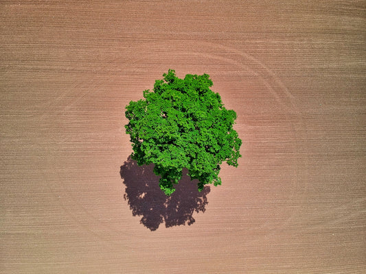 green plant on brown wooden table