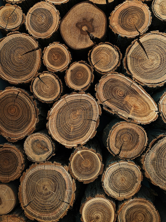 brown wooden logs in close up photography