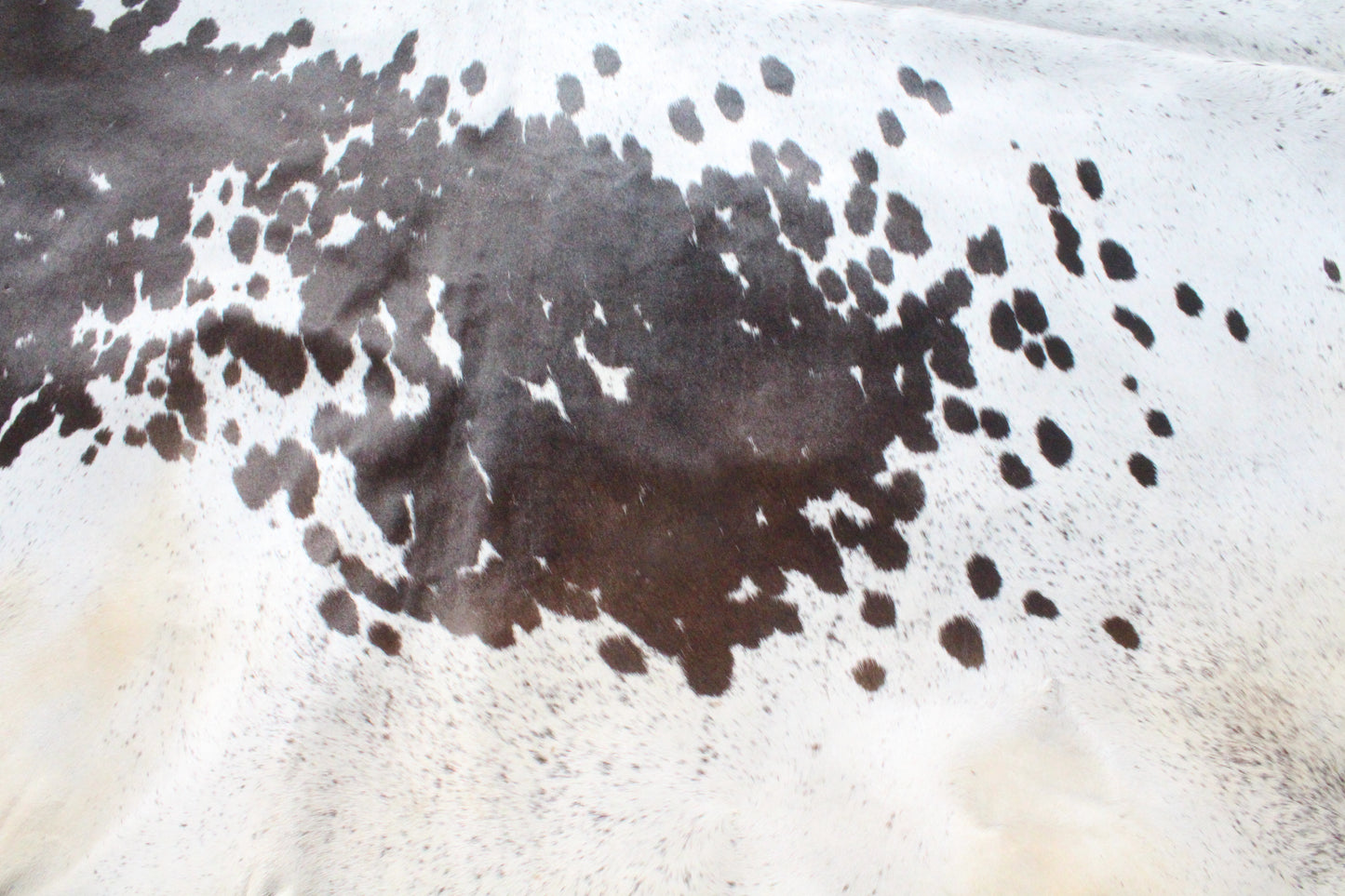 Cow Hide Rug 5.5x5 fts