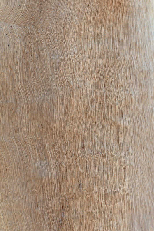 brown and white area rug