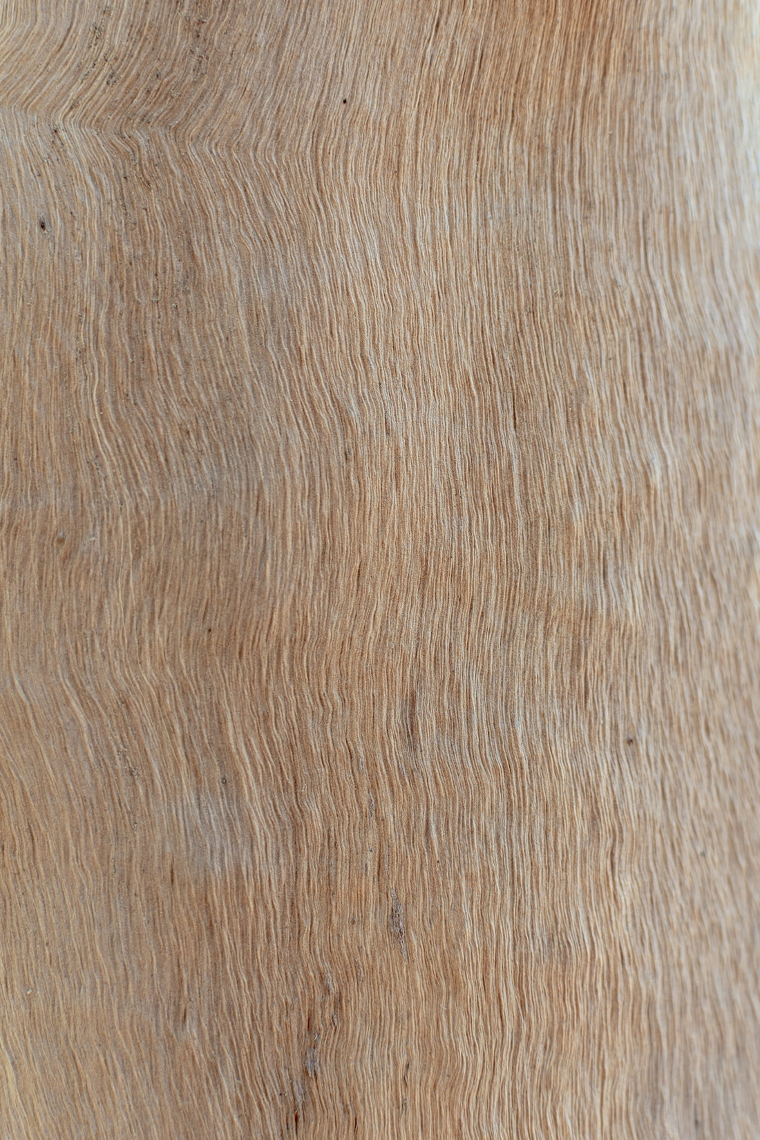brown and white area rug