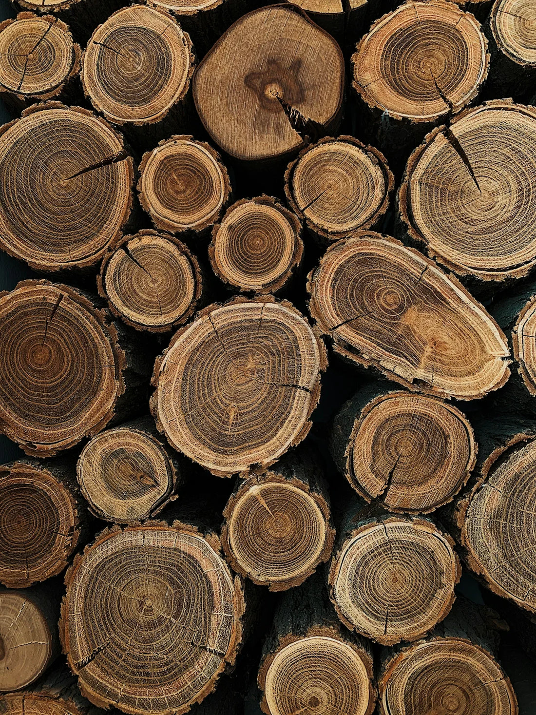 brown wooden logs in close up photography