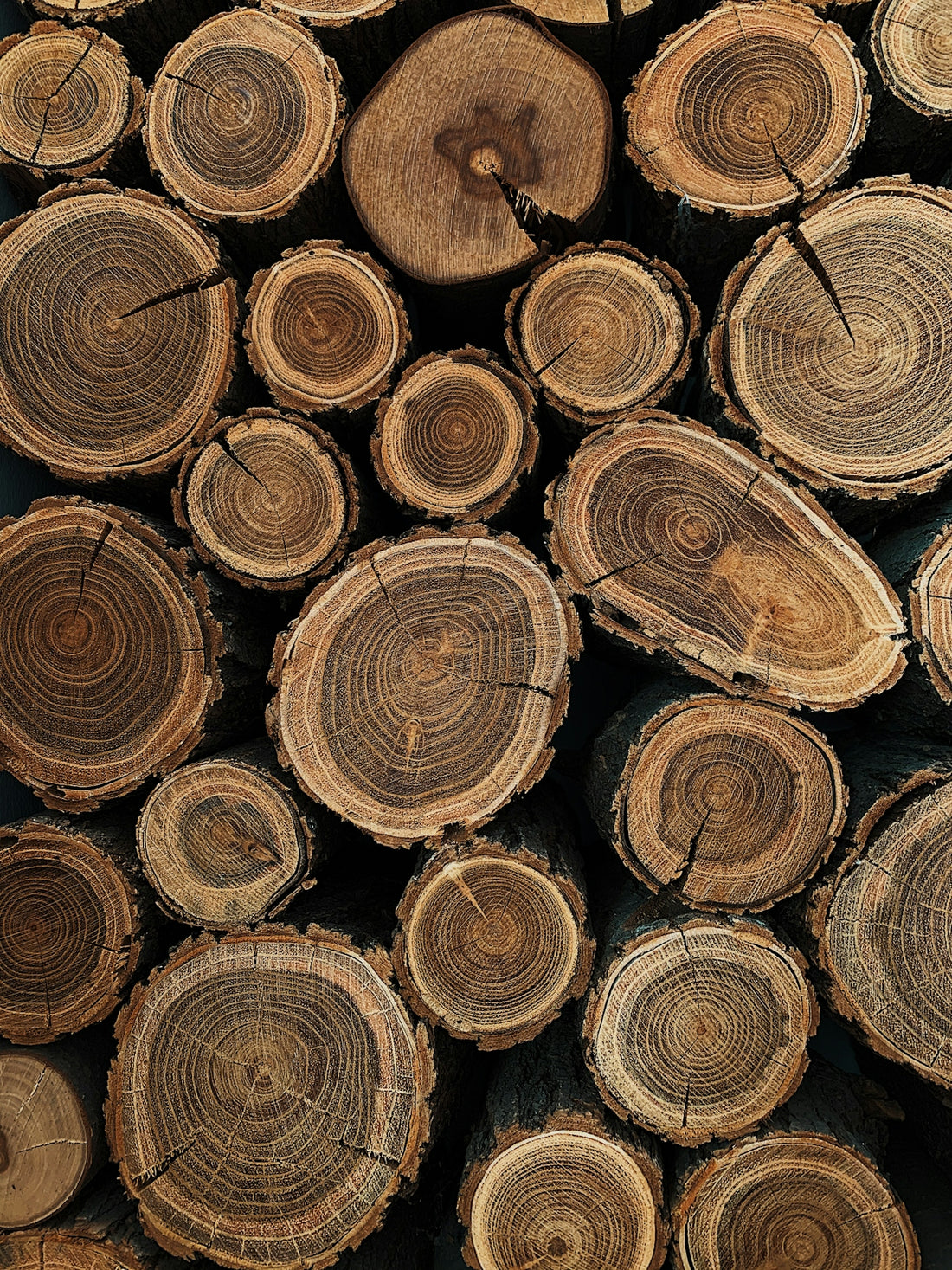 brown wooden logs in close up photography