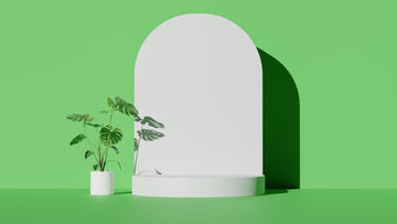 a plant in a white vase next to a green wall