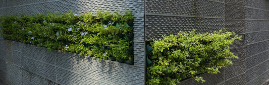 A wall with a bunch of plants growing out of it