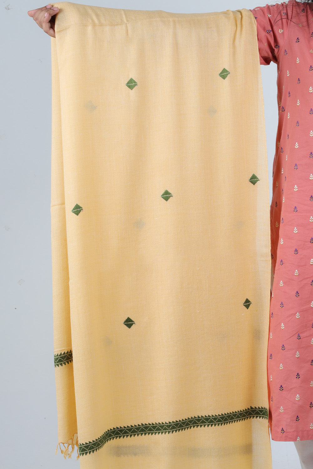 Swati Handloom Embroidery Wool Shawl
