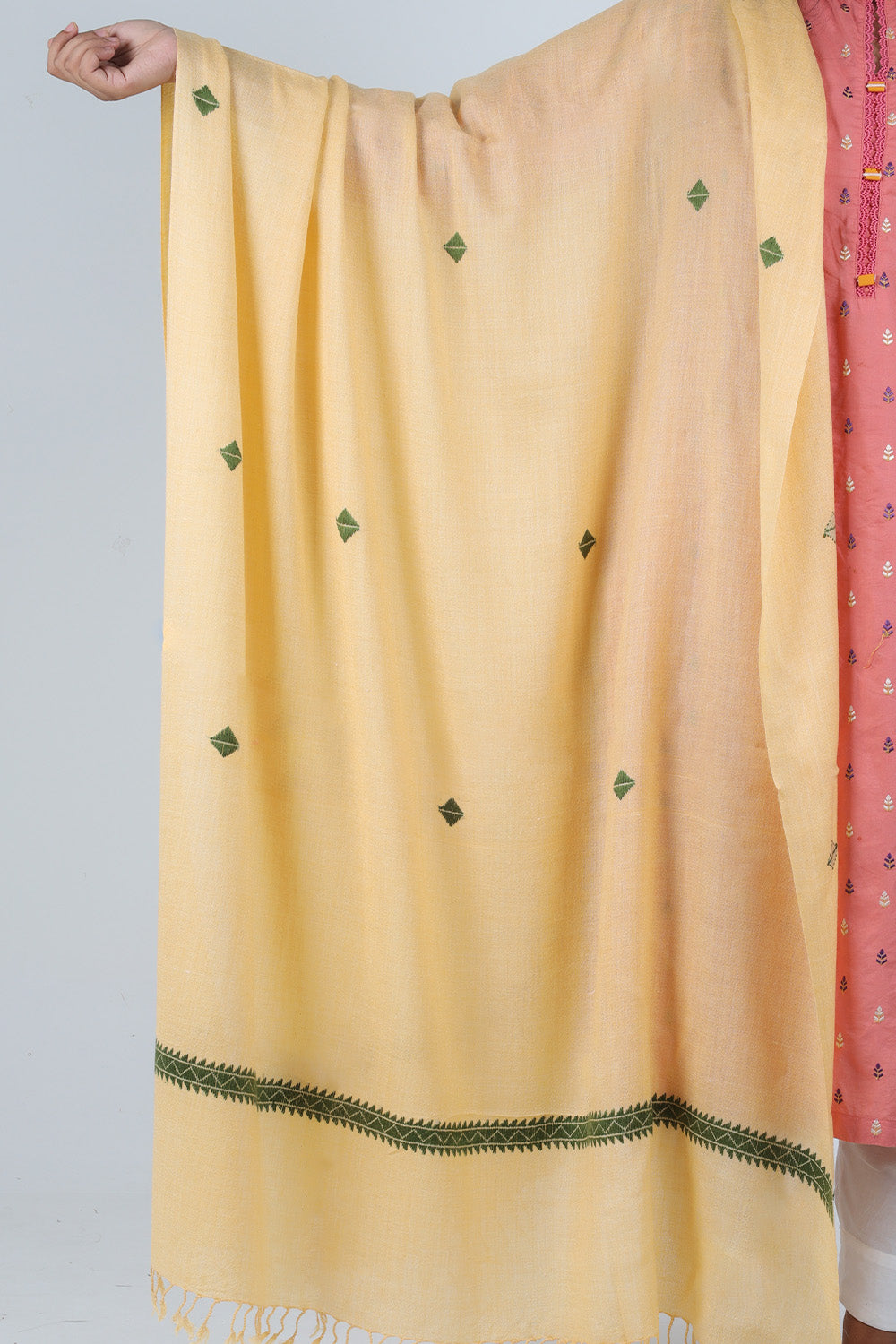 Swati Handloom Embroidery Wool Shawl