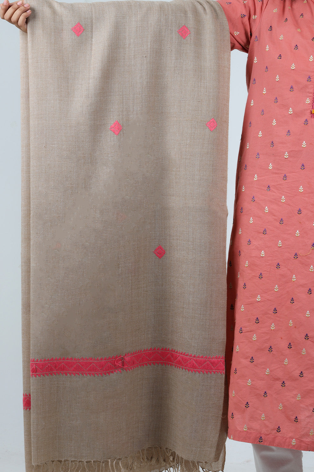 Swati Handloom Embroidery Wool Shawl PP